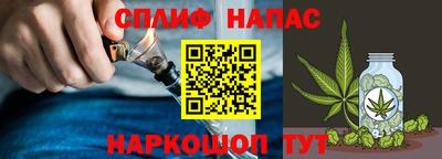 стаф Будённовск