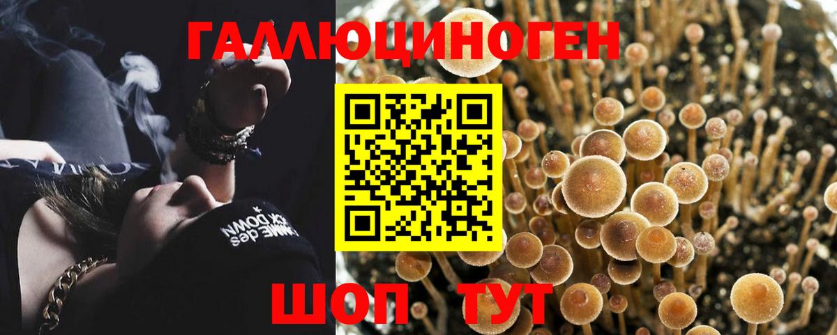 Галлюциногенные грибы ЛСД Троицк